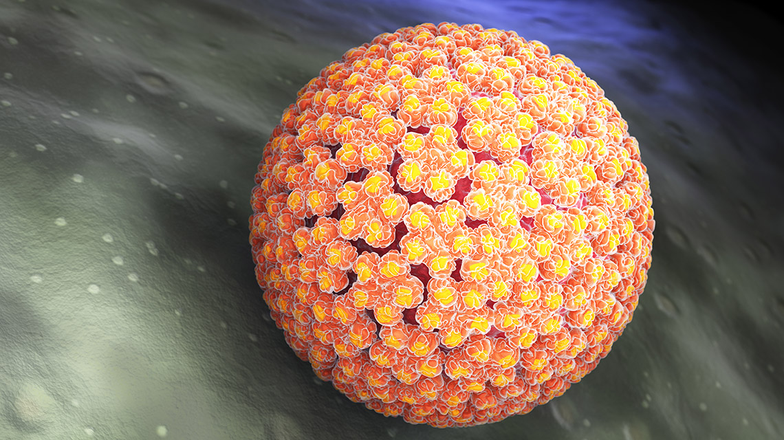 HPV ( Human Papilloma Virus ) Nedir?